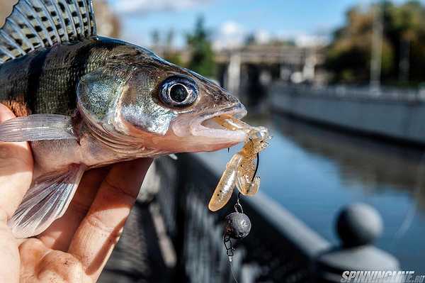 Изображение 1 : Yoshi Onyx Offset Hook Big Eye - крючки с большим будущим!